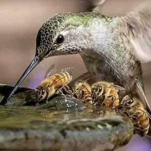 Meet your Posher, Sigrid